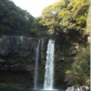 천지연 폭포 이미지