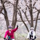 국토종주자전거길1-100 이미지