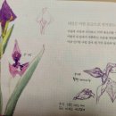 열두달꽃이랑 이미지