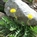 해인농장 이미지