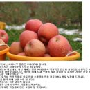 사과나무선물의집