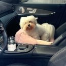 반야시스터 이미지