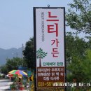 복돌이식당