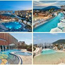 제주작은별 이미지