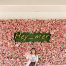 헤이메르 이미지