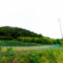 주식회사 베스트부동산중개법인 이미지