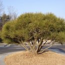 자연에 머물다 이미지