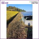 관정태양광발전소 이미지