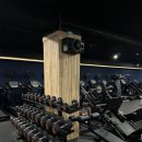 비비휘트니스 이미지