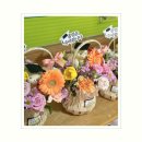 관악병설유치원 이미지