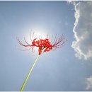 오늘의기쁨 이미지