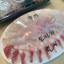 울산 반구동 횟집 <정자 포장 회 센타> 구성 좋은 모듬회랑 서비스 매운탕도 기가 막힌 울산 회 맛집