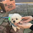 알콜충전 - 동구 | 알콜충전