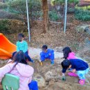 구상나무 화장실 이미지