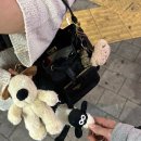 개쩐다뽑기 이미지