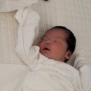 레지나 산후조리원 이미지