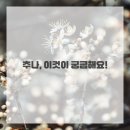 홍제한의원 | 굽은 등 쫙! 뻐근한 목 시원하게~ 홍제 한의원 추나 경험담이요!