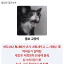 모쿠슈라 이미지