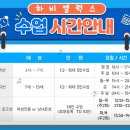 하비엘럭스 수영장 이미지