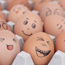 기성태양광발전소 이미지