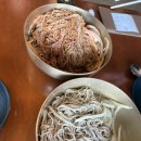 세원카서비스 | 2박3일 제주 여행기 3일차) 도도카페, 건강과성박물관, 제주순메밀막국수, 오설록티뮤지엄, 제주세원이네