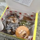 구암동377 | 마산 구암동 카페 디저트가 맛있는 [선인장카페 시옷이응지읏] 방문후기