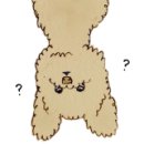 푸들푸들 이미지