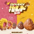 호스테