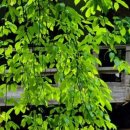 현천회관 이미지