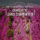 임실군민체육회관 | 고려산 진달래 축제 지금이 타이밍 | 강화도 개화, 등산 코스, 주차 꿀팁까지