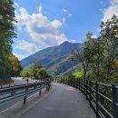 김유정 행장비 이미지