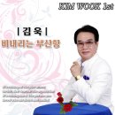 김욱 - 비내리는 부산항 이미지