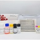 SG메디칼 이미지