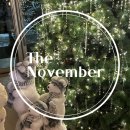 수지 동천 24시 용인 대형카페 [The november] 더 노벰버 라운지 내돈내산 후기