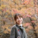 순천만여행 이미지