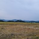 예안태양광발전소 이미지