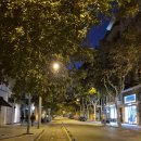 CU 성당해올점 | 바르셀로나 가우디 투어 추천 - 그녀의 바르셀로나 우니코 투어 후기, 사그라다 파밀리아 성당 투어