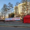 성남시청앞 인도 이미지