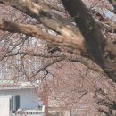 개금2동-2 이미지