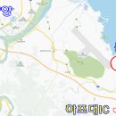 소나무숲민박 이미지