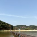 2025 회룡포 봄꽃축제 이미지