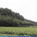 전원농장 이미지