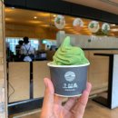 아로하민박 이미지