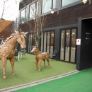 코코테로