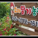 배바우농장 이미지