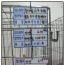 박달119안전센터 앞 이미지