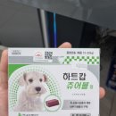 솔모루약국 이미지