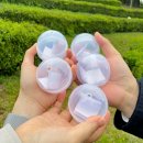 5월 가기 좋은 보성다향대축제 다녀온 후기 🌱 (부스정보, 이벤트, 오후의 차밭, 꿀팁.ᐟ)