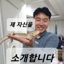 부동산TV공인중개사사무소 네이버블로그