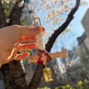 나를 지켜주는 친구 초록이 | 생각하는집 액막이키링 나를 지켜주는 행운의 마스코트 명태